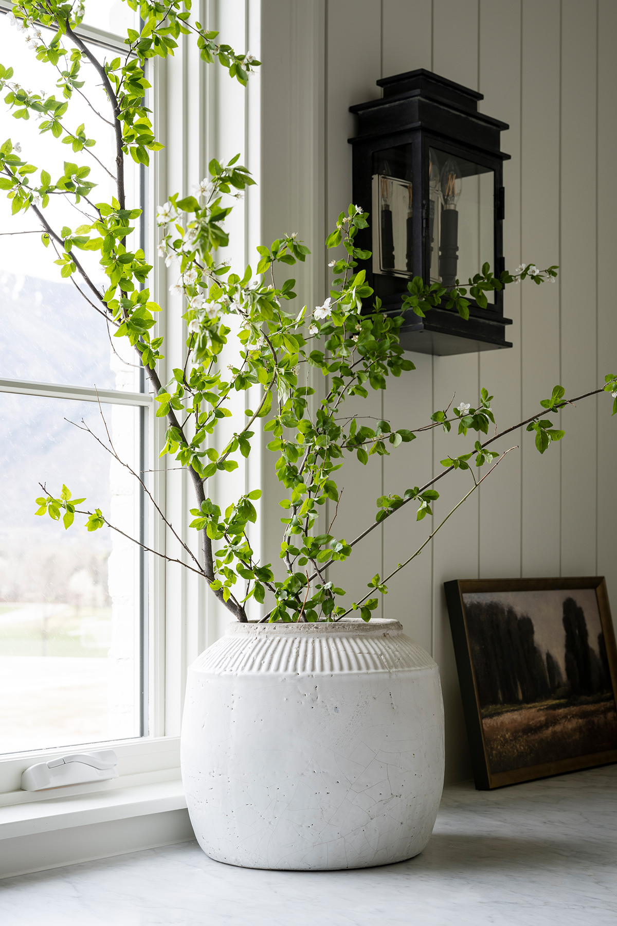 pot with greenery in laundry room