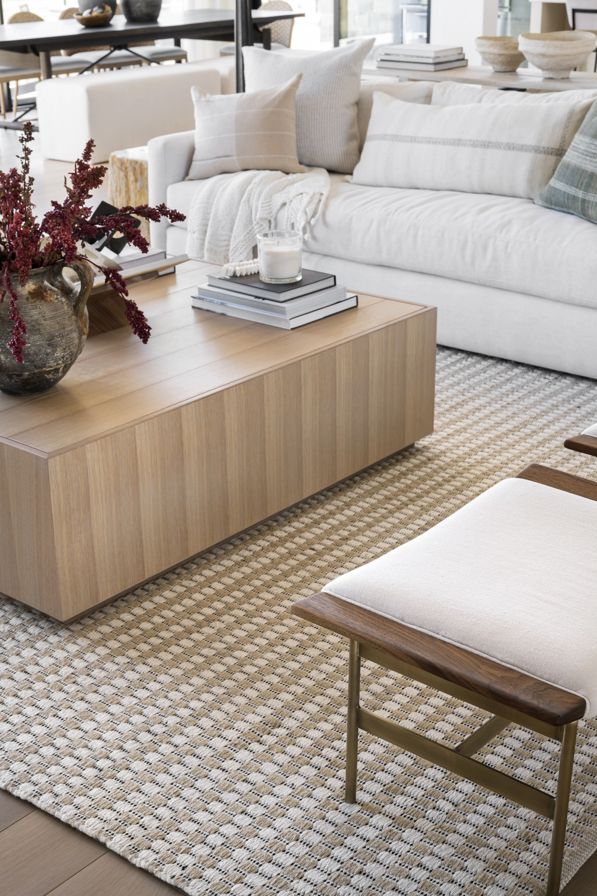 indoor/outdoor rug in living room
