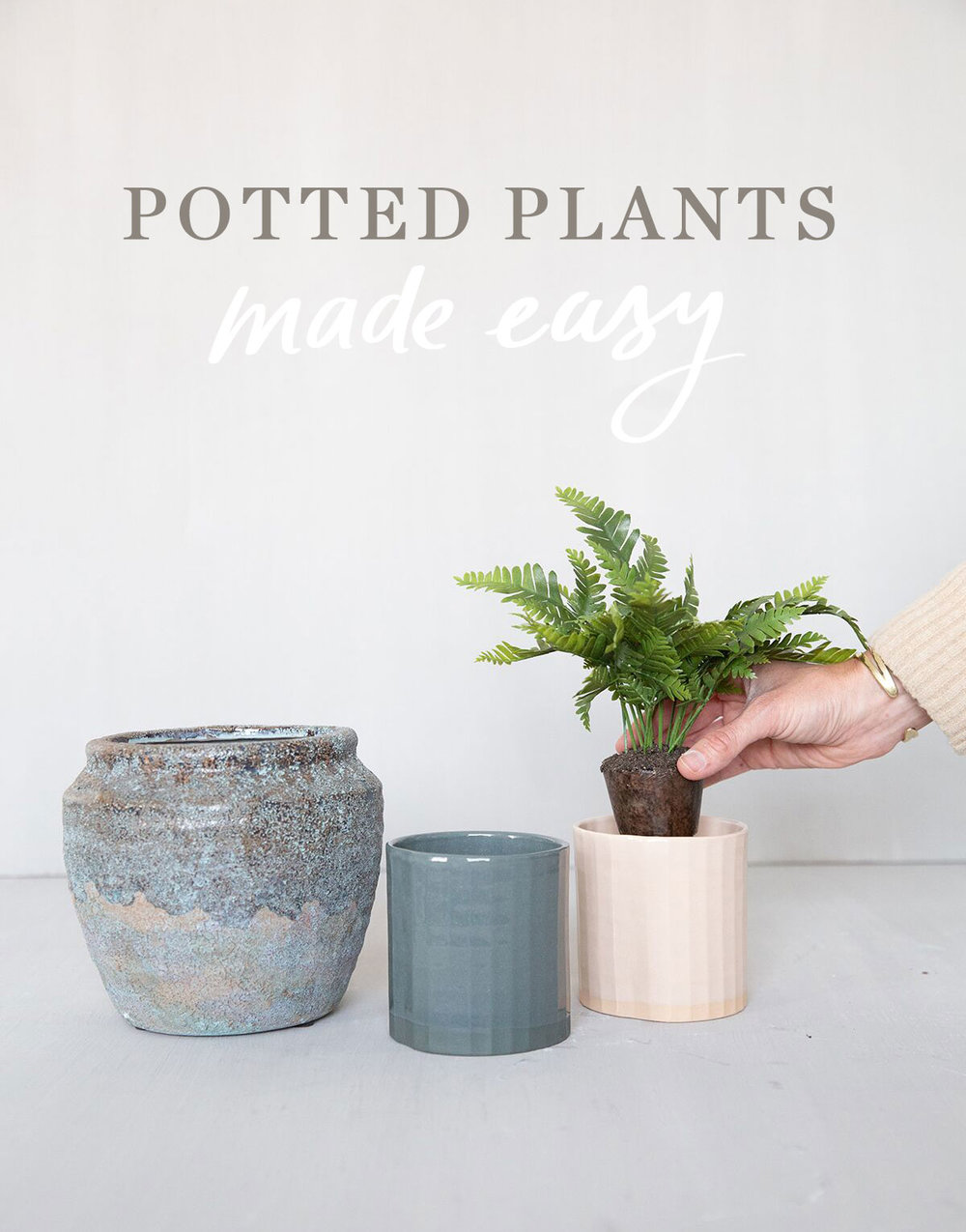 potted-plants.jpg
