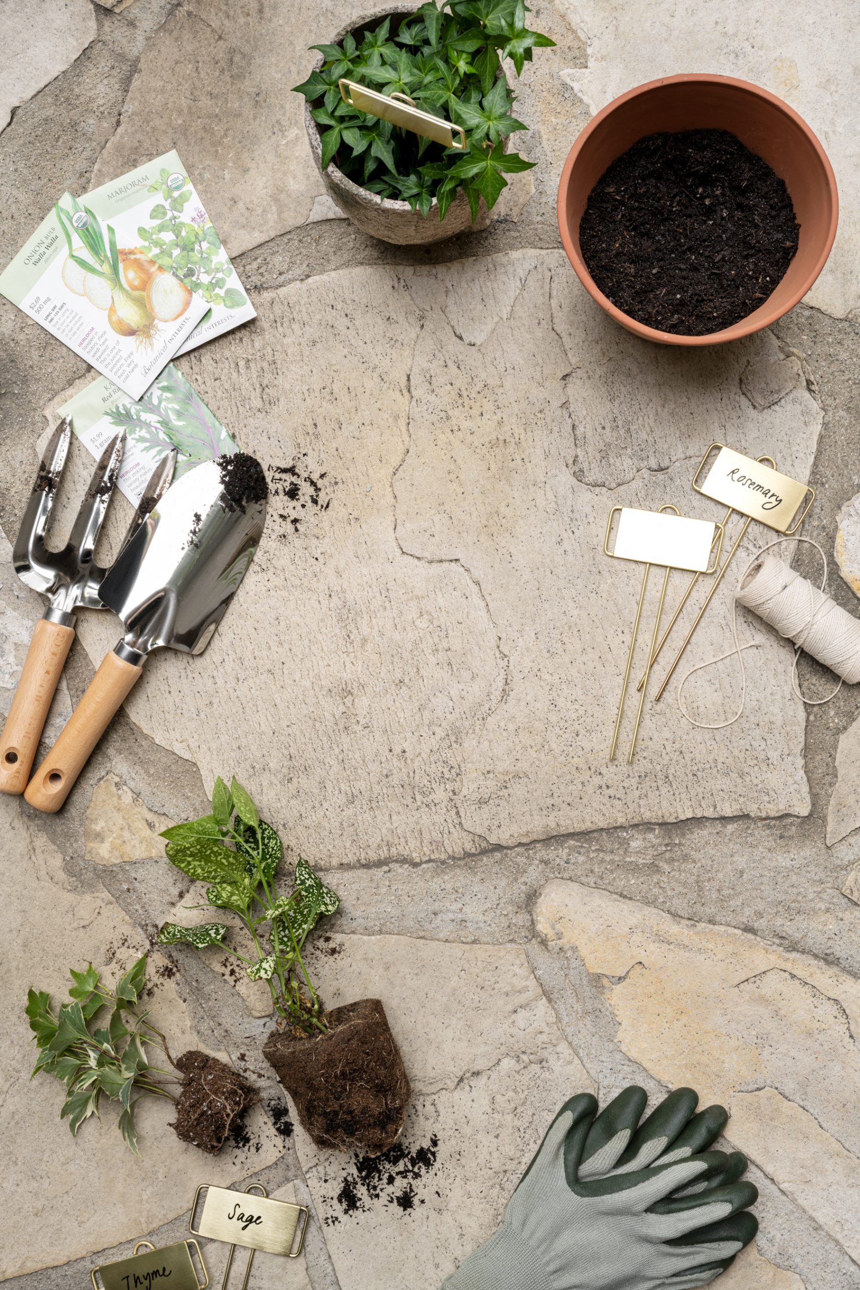 plant and pot with gardening supplies
